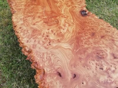 table basse en orme