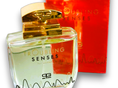 1. TrOubling senses