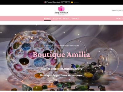 Agence web Awra1