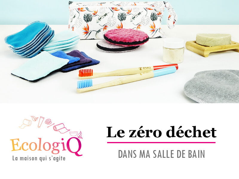 1. EcologiQ : Alternatives Écologiques aux Produits Jetables